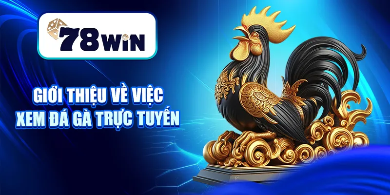Xem Đá Gà Trực Tuyến Mới Nhất 2025 Tại Nhà Cái 78WIN 5 Giới thiệu về việc xem đá gà trực tuyến